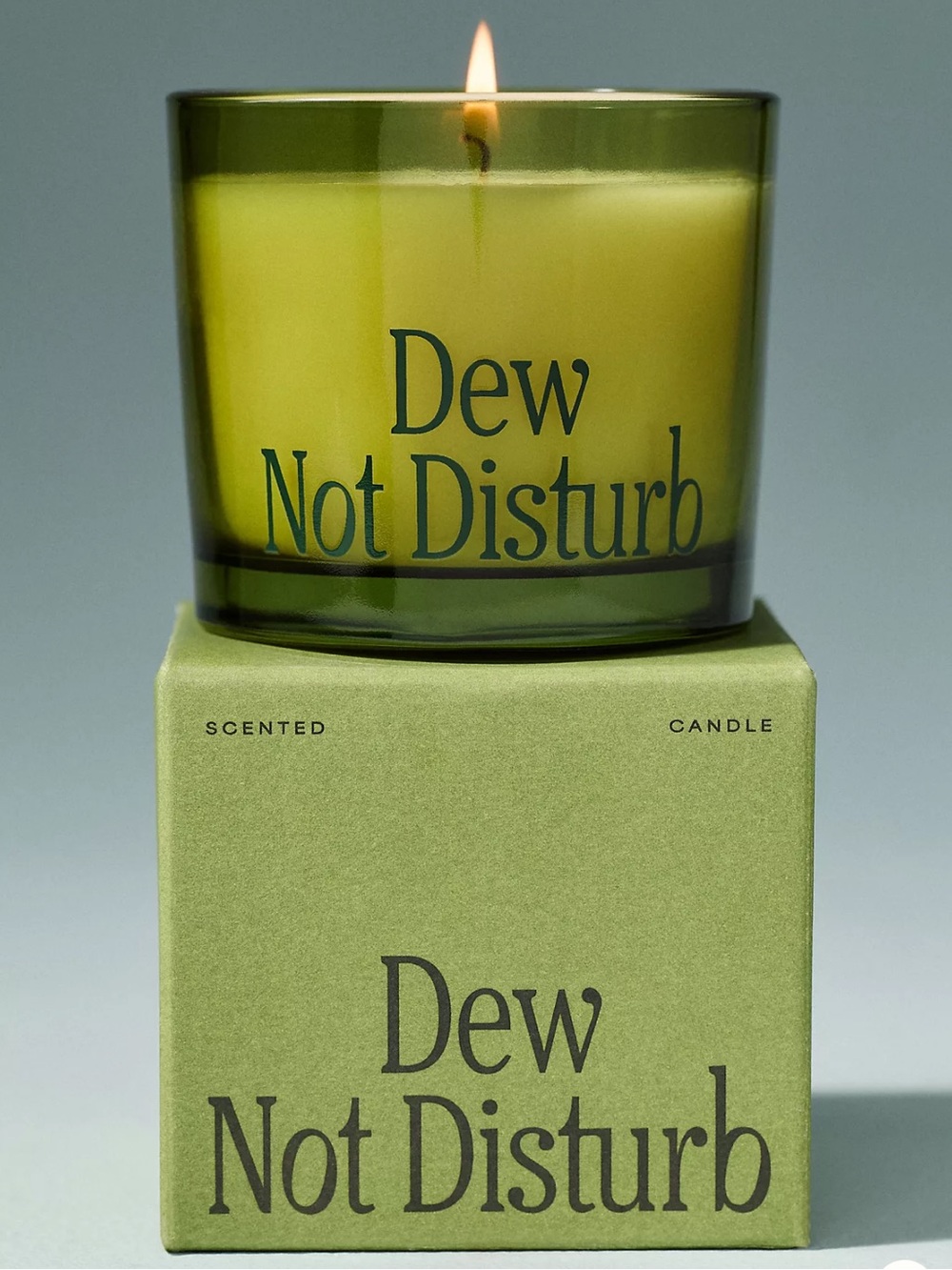 Anthropologie Maeve Fruity Dew Not Disturb Glass Candle with Box